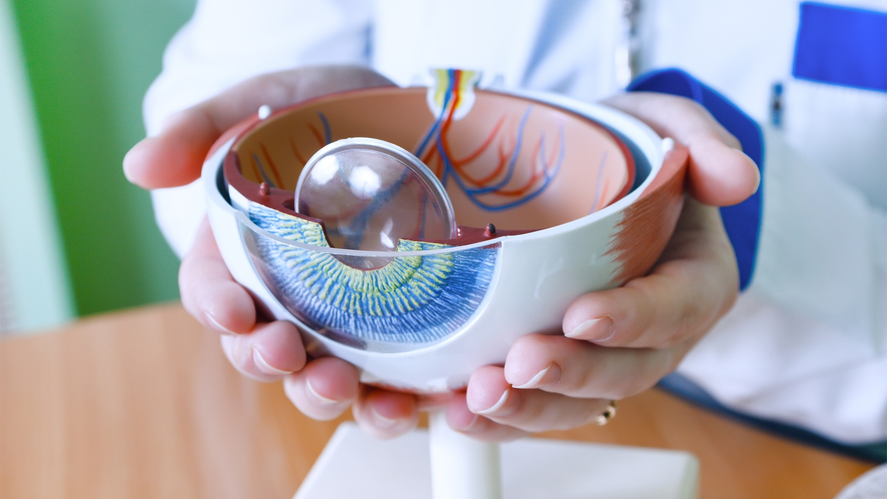 При помутнении хрусталика происходит снижение пропуска световых